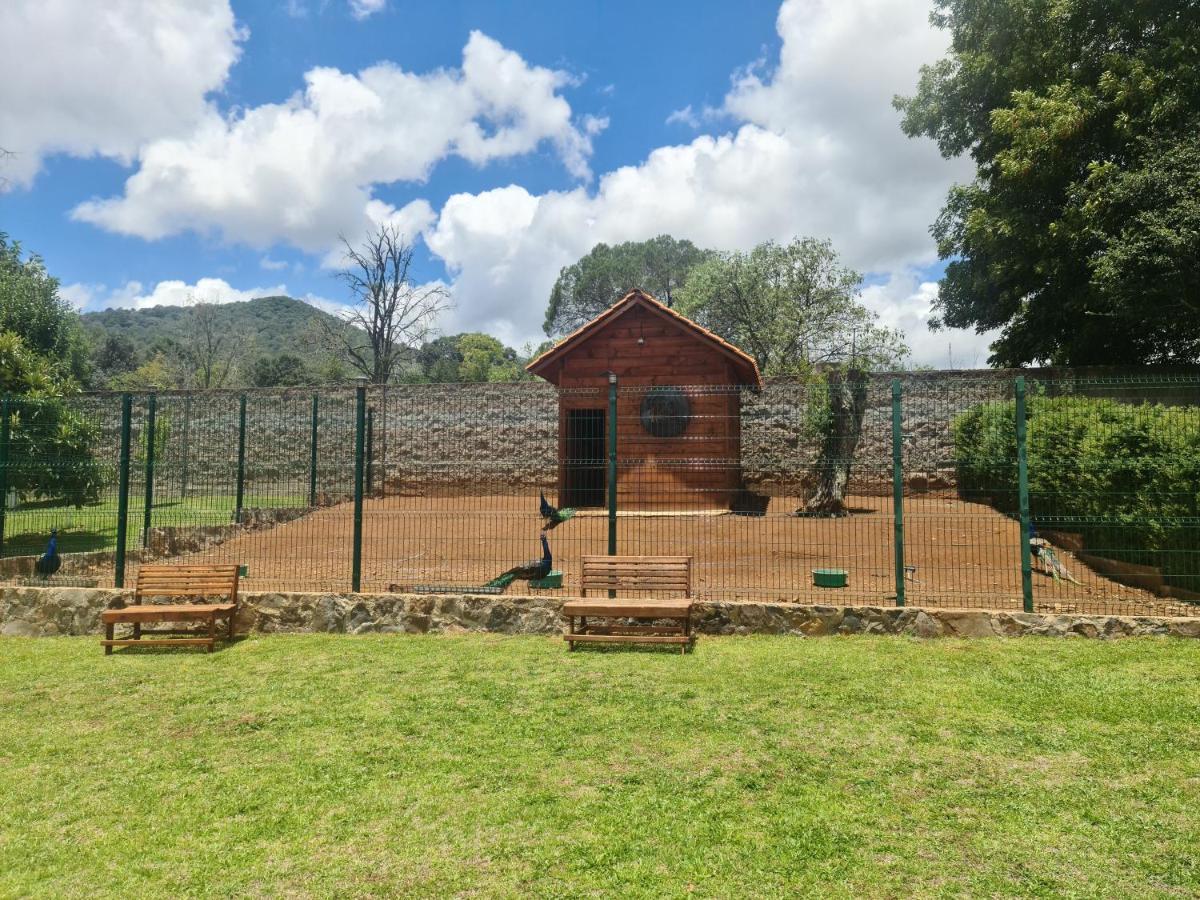 Finca Los Angeles Hospederia & Sociales Huasca de Ocampo Eksteriør billede
