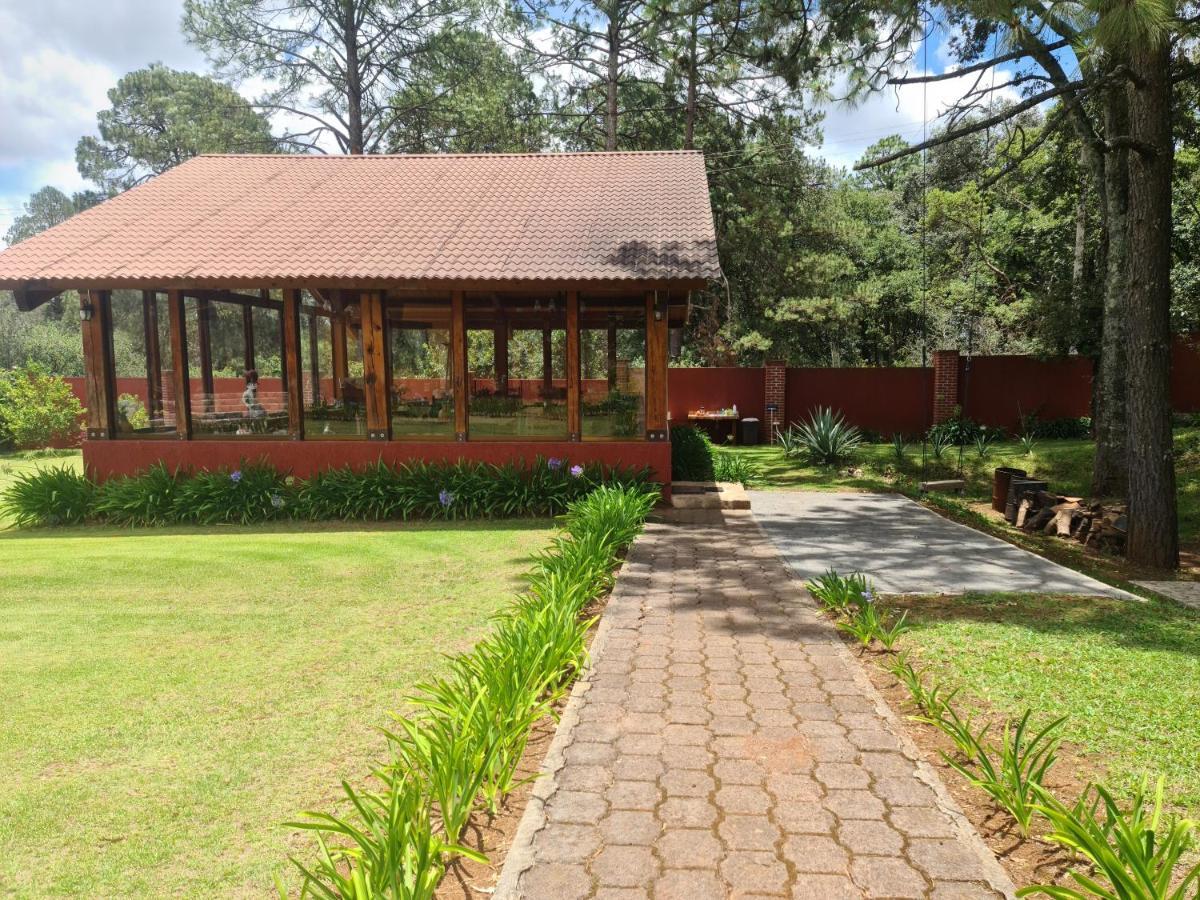 Finca Los Angeles Hospederia & Sociales Huasca de Ocampo Eksteriør billede