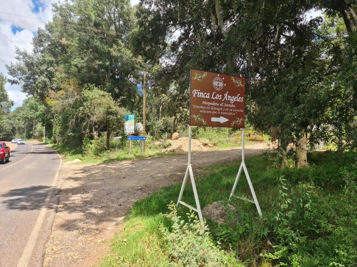 Finca Los Angeles Hospederia & Sociales Huasca de Ocampo Eksteriør billede